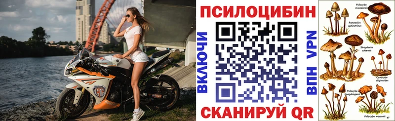 мега ССЫЛКА Плавск Псилоцибиновые грибы GOLDEN TEACHER